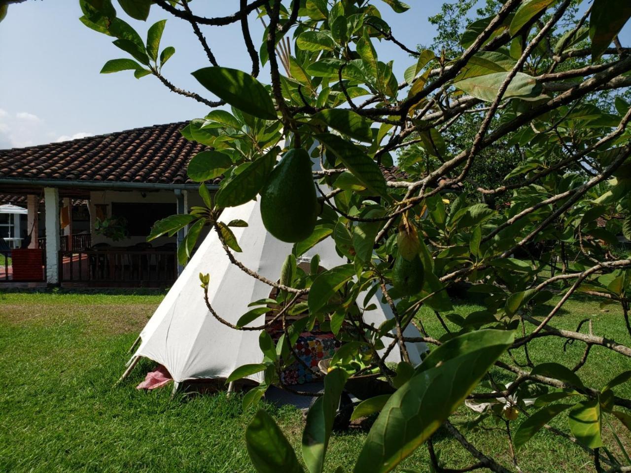Glamping