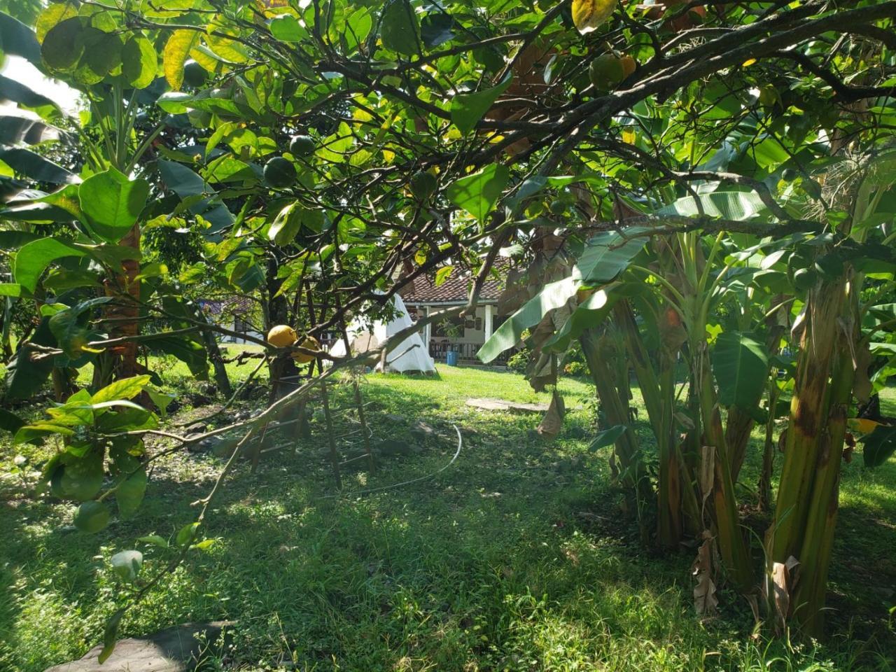 Glamping Campsite *